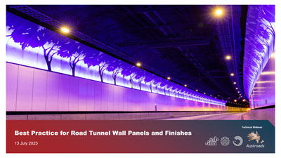 Webinar: Best Practice for Road Tunnel Wall Panels and Finishes